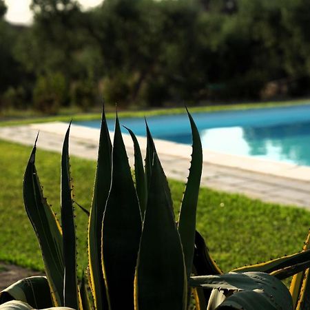 Accogliente Villa Con Piscina Caltagirone Exterior foto