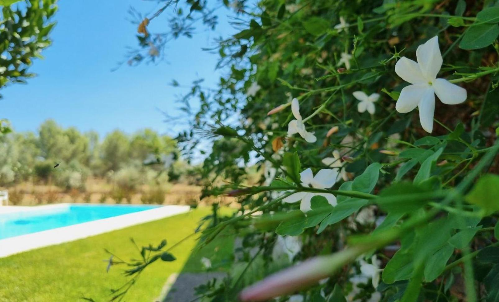 Accogliente Villa Con Piscina Caltagirone Exterior foto