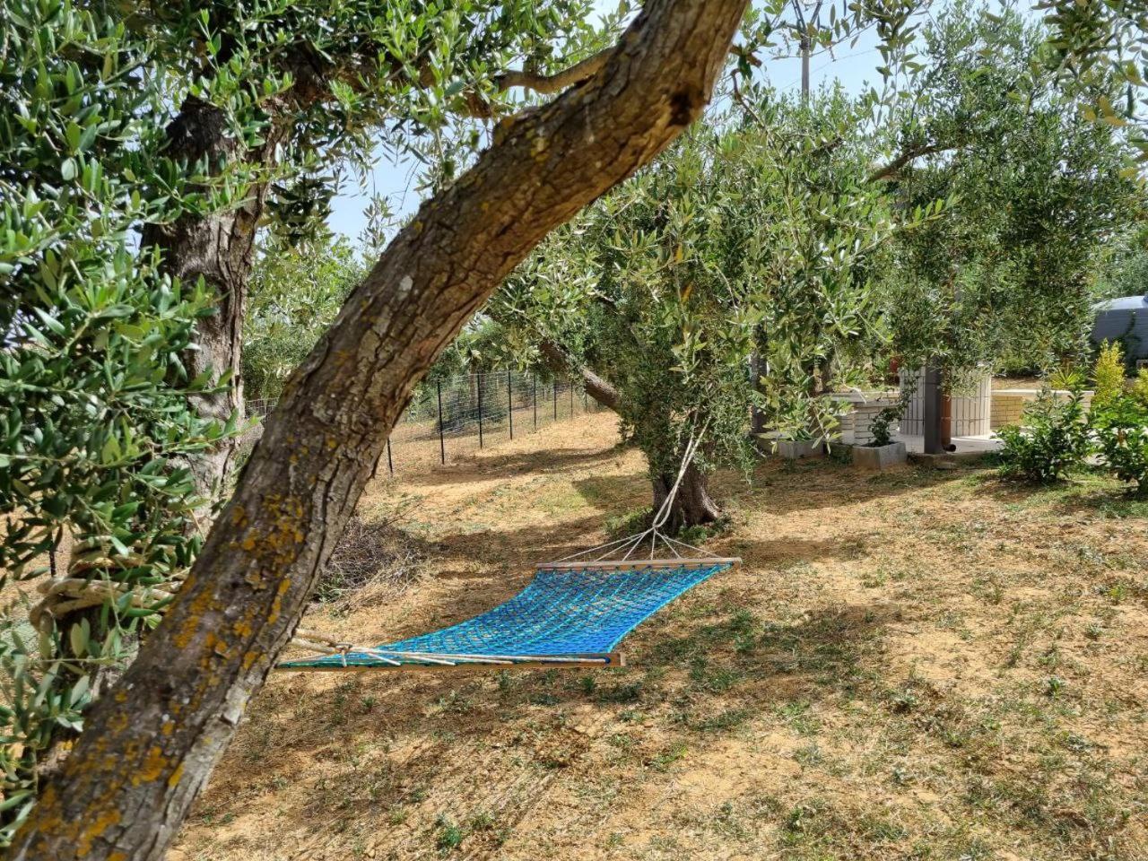 Accogliente Villa Con Piscina Caltagirone Exterior foto