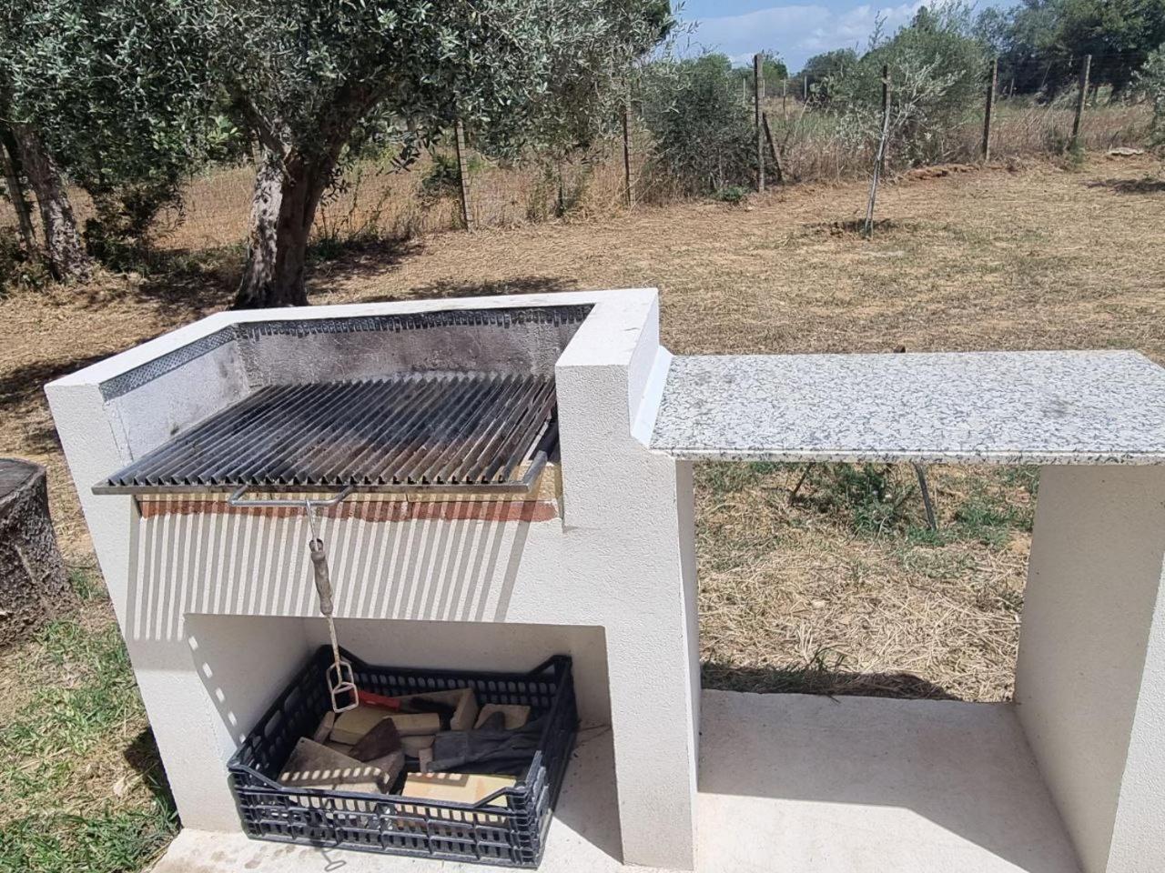 Accogliente Villa Con Piscina Caltagirone Exterior foto